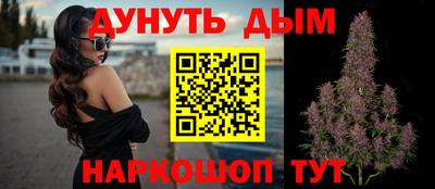 индика Абинск