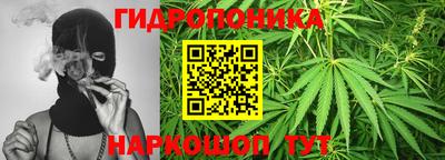 мяу мяу мука Абакан