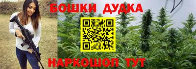 индика Абинск