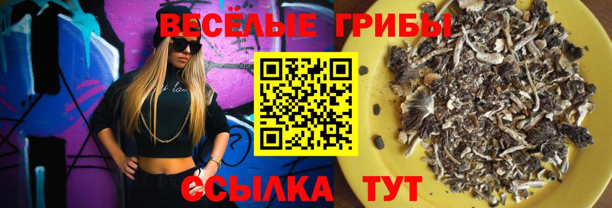 Верхний Уфалей  Псилоцибиновые грибы Cubensis  дарнет шоп  Псилоцибиновые грибы прущие грибы  Вход с VPN 