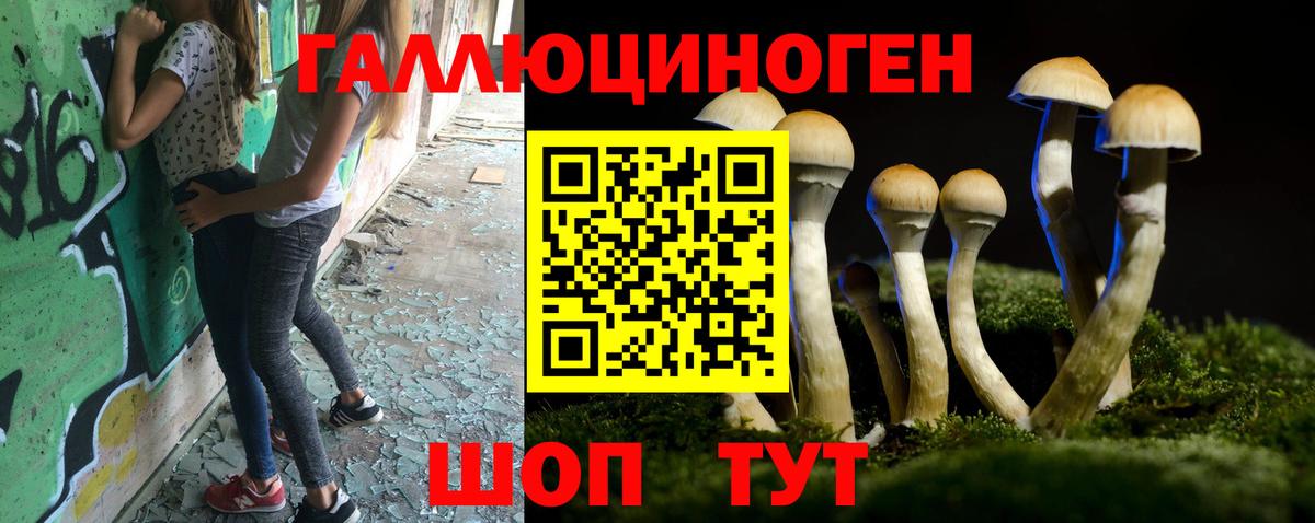 Галлюциногенные грибы Psilocybine cubensis Верхний Уфалей